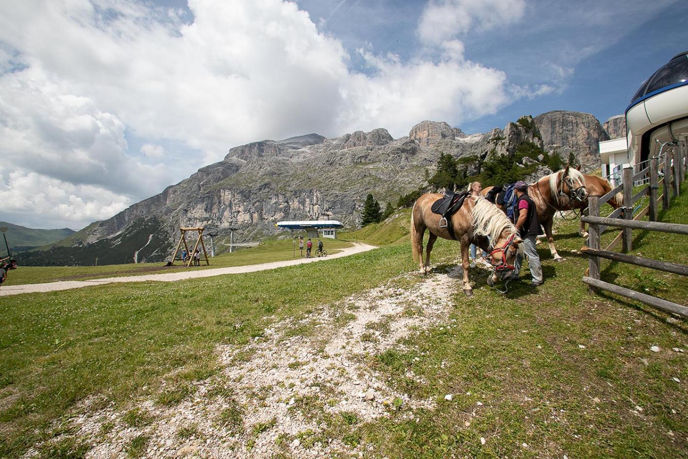 Hotel Alpenrose Арабба Екстер'єр фото